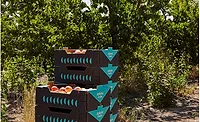 Arlette Fruits gets new creative packaging from Nueve Studio