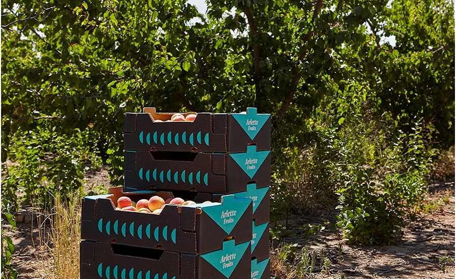 Arlette Fruits gets new creative packaging from Nueve Studio