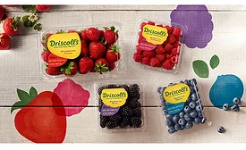 Driscolls works on new branding for packaging