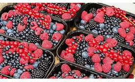 Global Superfruit market to grow within next 10 years