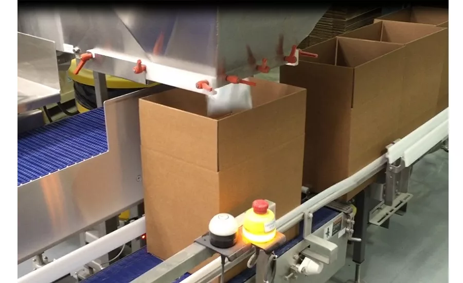 Multi-Conveyor new line for pouch, case filling