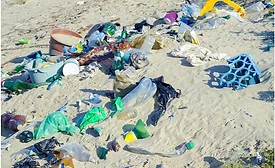 P&G to produce shampoo bottle made of beach plastic