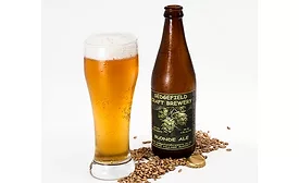 US craft brewers sold US$23.5B in 2016, amounting to 21.9% of the total US beer market
