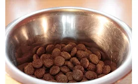 Pet food packaging to grow to 2021