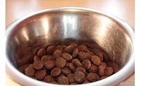 Pet food packaging to grow to 2021