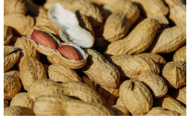 The Allergy Epidemic Effect on Food Manufacturing
