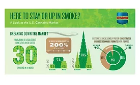 Cannabis: A Budding Market with Legal Inconsistencies
