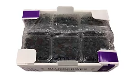 StePak Produce Packaging Offers Added Functionality, Sustainability