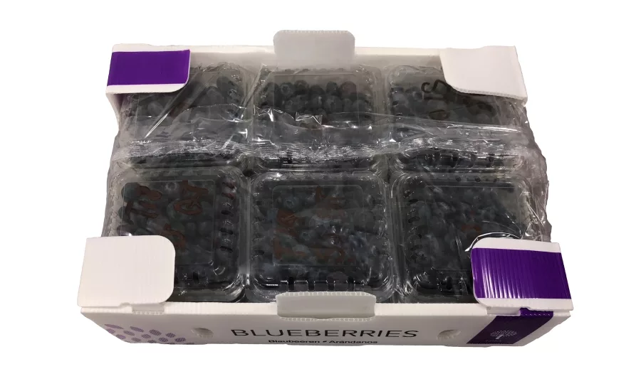 StePak Produce Packaging Offers Added Functionality, Sustainability