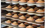 Time to Inspect the Doughnuts
