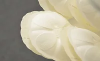 Bosch and BillerudKorsnäs Offer New Sustainable Paper-Based Packaging