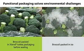 Broccoli Moves from Ice Age to Fresh Packaging