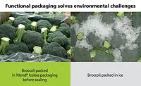 Broccoli Moves from Ice Age to Fresh Packaging
