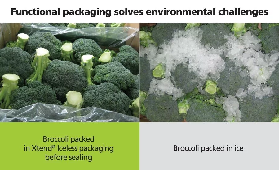 Broccoli Moves from Ice Age to Fresh Packaging
