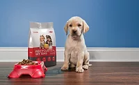 Dow's Packaging Resin Solutions Help Tackle Food Waste