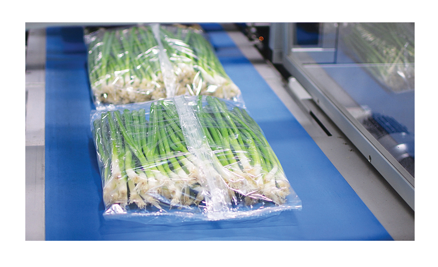 Fresh Produce Packaging Set Up for Automation
