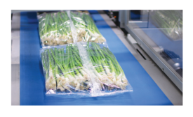 Fresh Produce Packaging Set Up for Automation