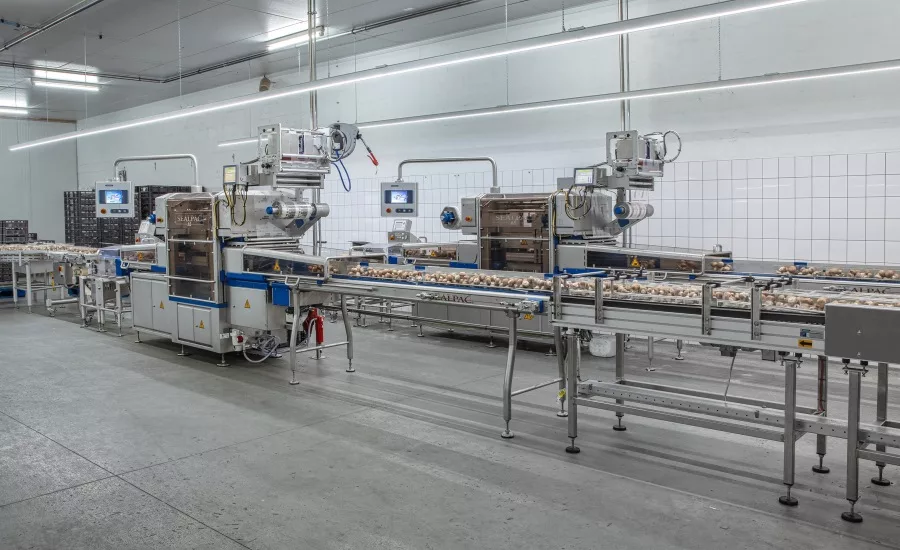 Mushroom Producer Switches to Tray Sealing