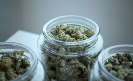 Cannabis Industry Ignites Job Market for Design and Packaging