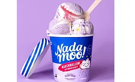 Non-Dairy Ice Cream Chooses Renewable Ice Cream Board Packaging