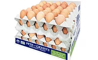Reusable Egg Carton Is Made from Recycled Materials