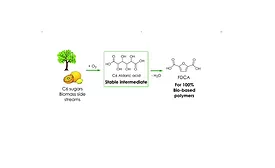 Plant-Based and Recyclable Plastic Bottles now Enabled with Technology Using Citrus Peel