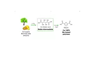 Plant-Based and Recyclable Plastic Bottles now Enabled with Technology Using Citrus Peel