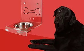 General Mills Involved with Pet Food Delivery Service