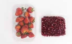 Sappi RockFruit