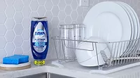 Dawn EZ-Squeeze on Sink CounterWEB.jpg