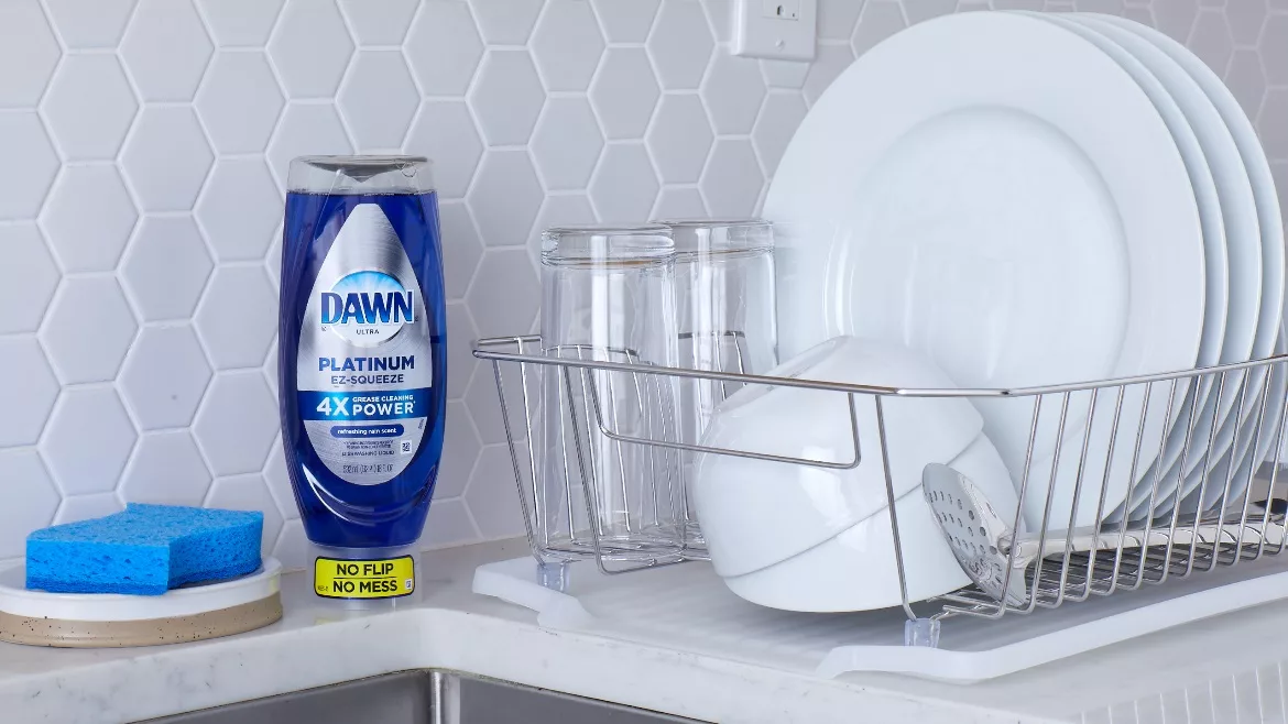 Dawn EZ-Squeeze on Sink CounterWEB.jpg