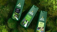 Irish_Spring_family-3.jpg