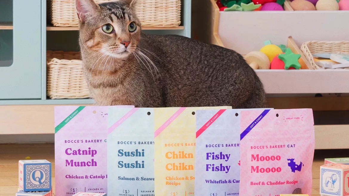 cat_treat_collection.jpg
