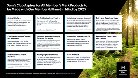 members-mark-aspirations.jpg