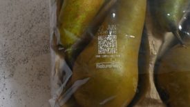 Pears Futamura QR.jpg