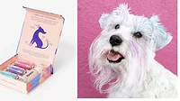 dog dyeweb.jpg