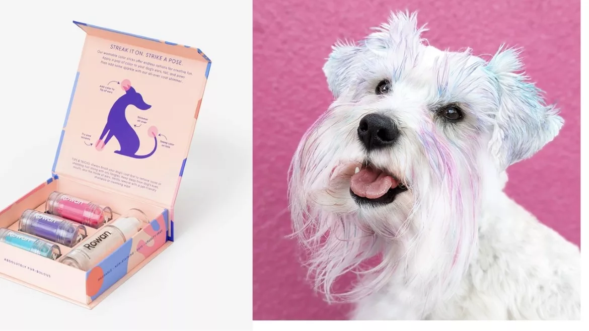 dog dyeweb.jpg