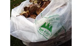 EcoFilm 2.jpg