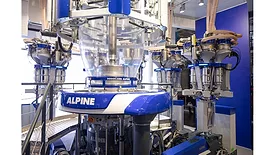 Alpine 1.jpg