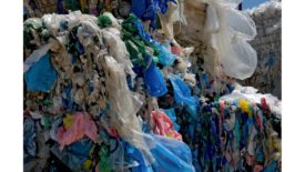 Materials Management - Plastic Bagsweb.jpg