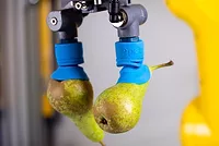 Piab_fruit_cup.jpg