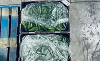 mini cucumbers