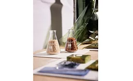 Flasks containing resins