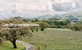 Treasury Wine sustainability report