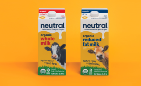 Neutral Milk Cartons against yellow background.png
