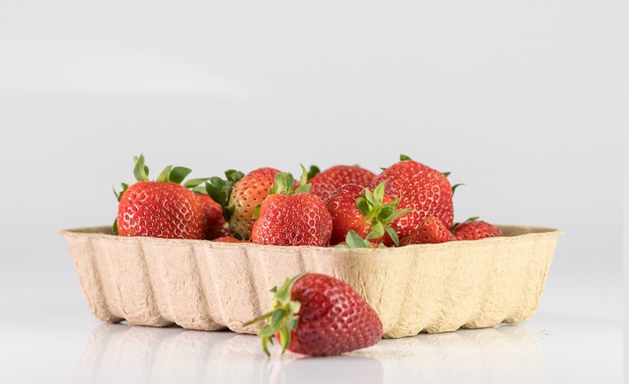 TIPA tray with strawberries