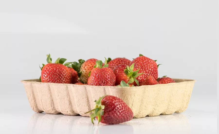 TIPA tray with strawberries
