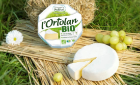 l'Ortolan Bio Cheese.png