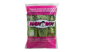 Andy Boy Romaine Hearts.png