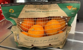 Oranges in Paper Packaging.png